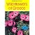Wild Flowers of Greece