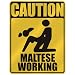 image 8 - CAUTION MALTESE WORKING PARKING SIGN MALTA