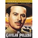 El Gavilan Pollero