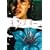 �����X�^�[ �v���~�A���E�G�f�B�V���� [DVD]
