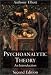 Psychoanalytic Theory: An Introduction (Social Studies Across the Borders)