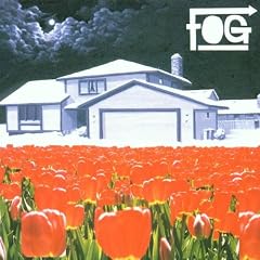 Fog