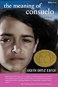 The Meaning of Consuelo: A Novel (Bluestreak)