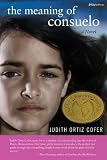The Meaning of Consuelo: A Novel (Bluestreak)