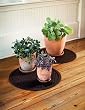 Thirsty Round Plant Mat