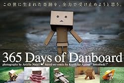 365 Days of Danboard