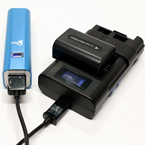 Chargeur Double Sony AC-VQV10 - Occasion Fonctionnel Pour Accus Sony