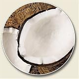 Scented Coconut Auto Coaster - Coaster for Your Car
