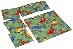 Scramble Squares: North American Birds