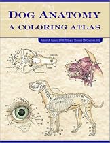 Dog Anatomy: A Colouring Atlas