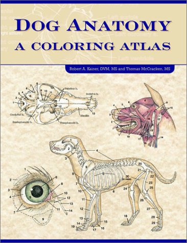 Crafts Hobbies