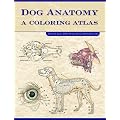 Dog Anatomy: A Colouring Atlas