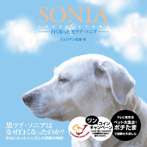 Cover image : SONIA-白くなった黒ラブ・ソニア-