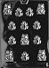 FROGS Animal Candy Mold Chocolate