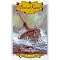Books on Ships and the Nautical