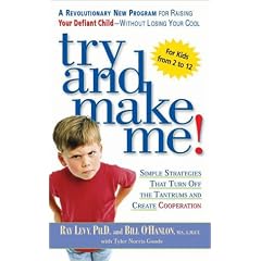 Try and Make ME