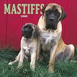Mastiffs Wall