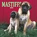 Mastiffs Wall
