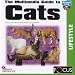 Software : Multimedia Guide To Cats