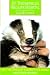 St. Tiggywinkles Wildlife Hospital: Wilf, the Smallest Badger and Other Stories (St Tiggywinkles Wildlife Hospi)
