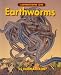 Lowdown on Earthworms (Lowdown)