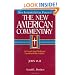 The New American Commentary Volume 25 B - John 12-21
