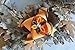 Thanksgiving Fall Large Boutique Hair Bow Toddler Girl Brown Orange