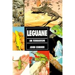 Leguane im Terrarium