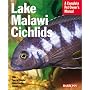 Lake Malawi Cichlids (Pet Owner's Manual)