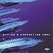 Book Lonely Planet: Plunge: Diving and Snorkeling Adventures Calendar (2003)
