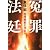 冤罪法廷 特捜検察の落日