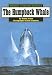 The Humpback Whale (Wildlife of North America)