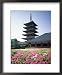 Asakusa Kannon Temple, Tokyo, Japan Framed Art Poster Print, 18x22