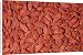 Canvas Prints of KEL-1573 Wolfberry / Goji Berries - dried from Ardea Wildlife Pets