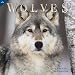 Wolves 2010 Wall Calendar