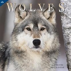 Wolves 2010 Wall Calendar