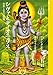 シヴァとディオニュソス 自然とエロスの宗教 (芸術人類学叢書 (2)) シヴァとディオニュソス 自然とエロスの宗教 (芸術人類学叢書 (2))
