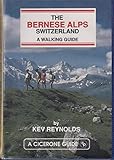 The Bernese Alps Switzerland