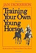 Training Your Own Young Horse