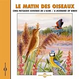 Phragmite Des Joncs