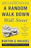 A random walk down Wall Street : the time-tested strategy for successful investing