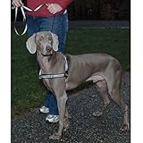 PetSafe Reflective Easy Walk Dog Harness, Small, Black/Silver