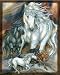 Horse II Fleece Throw Blanket - A Sense of Freedom
