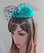 Fascinator Hair Clip Head Hoop Veil Wool Flower Hat Derby Cocktail Party Wedding