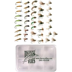 different types of flies