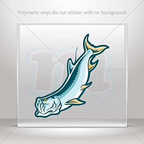 Sticker Decal Bass Fish Decoration Waterproof Racing Vehicle Tablet Laptop Du (14 X 12.4 In)