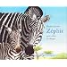 Z�phir, petit z�bre en danger