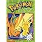 Pokemon Chapter Books