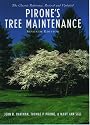 Pirone's Tree Maintenance