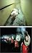 Search : media_city seoul 2000